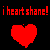 shane.gif